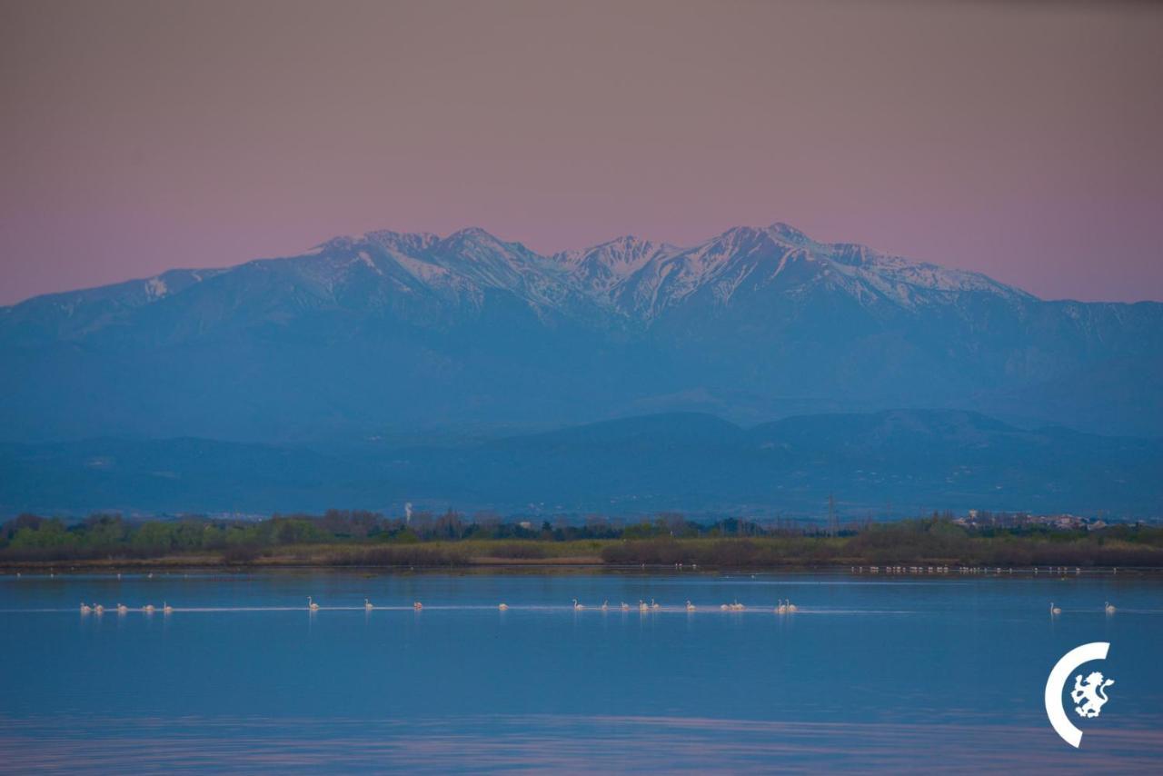 "Mer" Sejour Detente Tout Confort, Magnifique Vue Sur La Mer Canet-en-Roussillon Ngoại thất bức ảnh