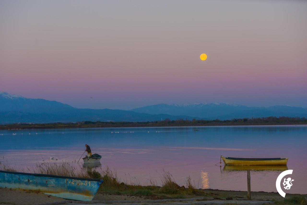 "Mer" Sejour Detente Tout Confort, Magnifique Vue Sur La Mer Canet-en-Roussillon Ngoại thất bức ảnh